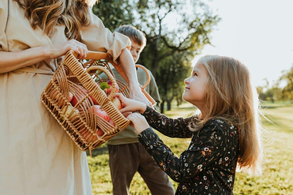 Child reaching into basket of apples during spring break outing, representing steady childcare support and family routine continuity